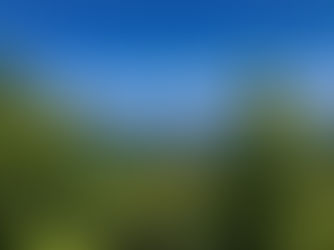 Sunshine in a Bottle at the Greek Wine Fair June 28