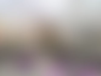 New outdoor oasis in Edinburgh city centre