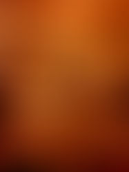 Mowgli Street Food, Edinburgh