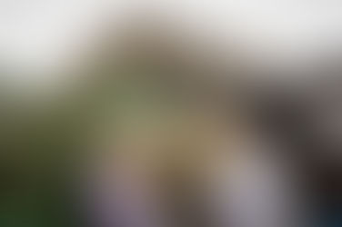 'Chief Beer Taster Wanted for Edinburgh Brewery: Cold Town Brewery Seeks Ultimate Craft Beer Fan'