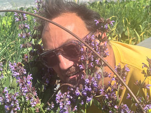 Salad in the City: How Monkton Garden Feeds L’Escargot Bleu 