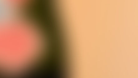 English sparkling wine - Boco