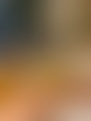 Wine from the Thracian Lowlands