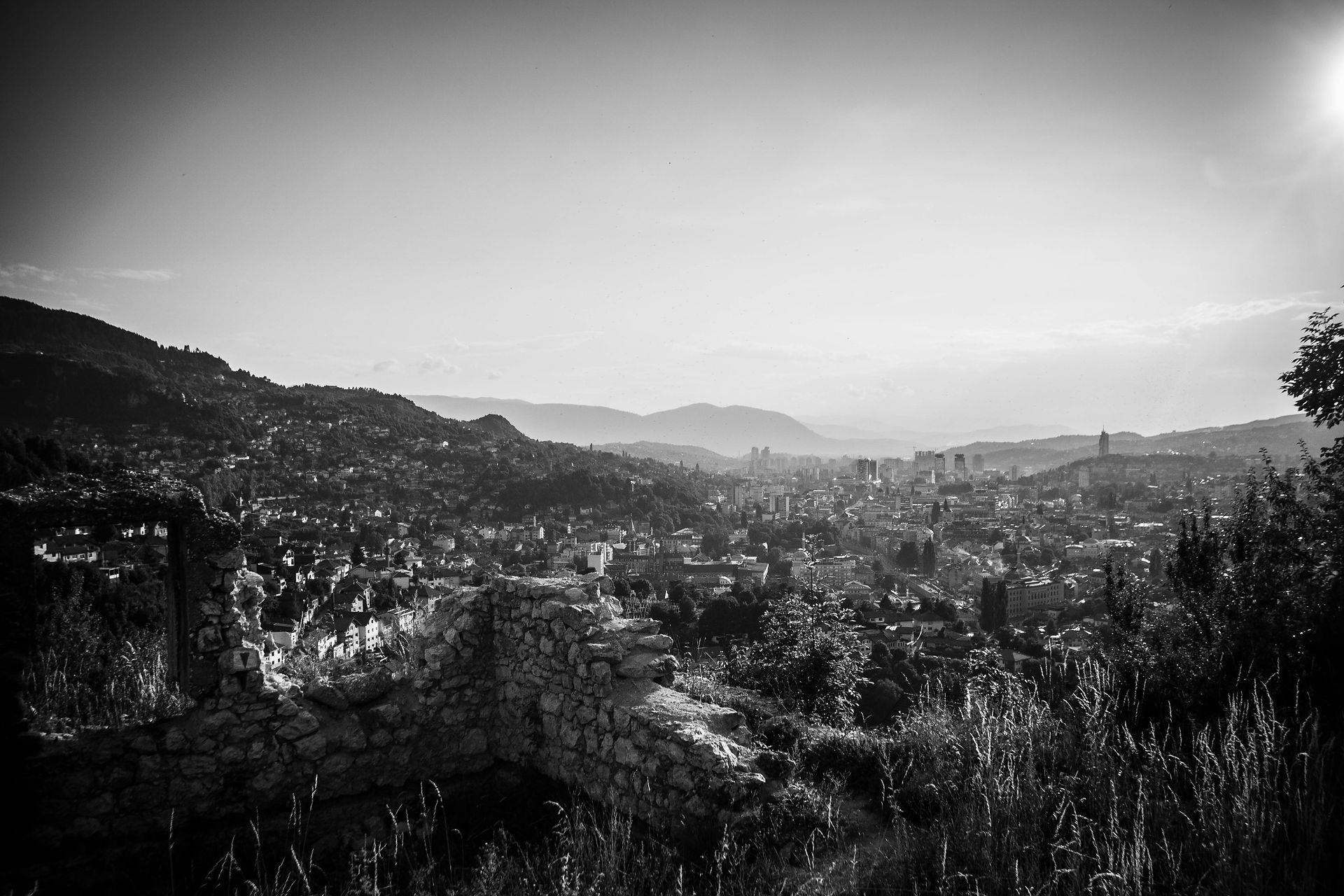 IMG_3809