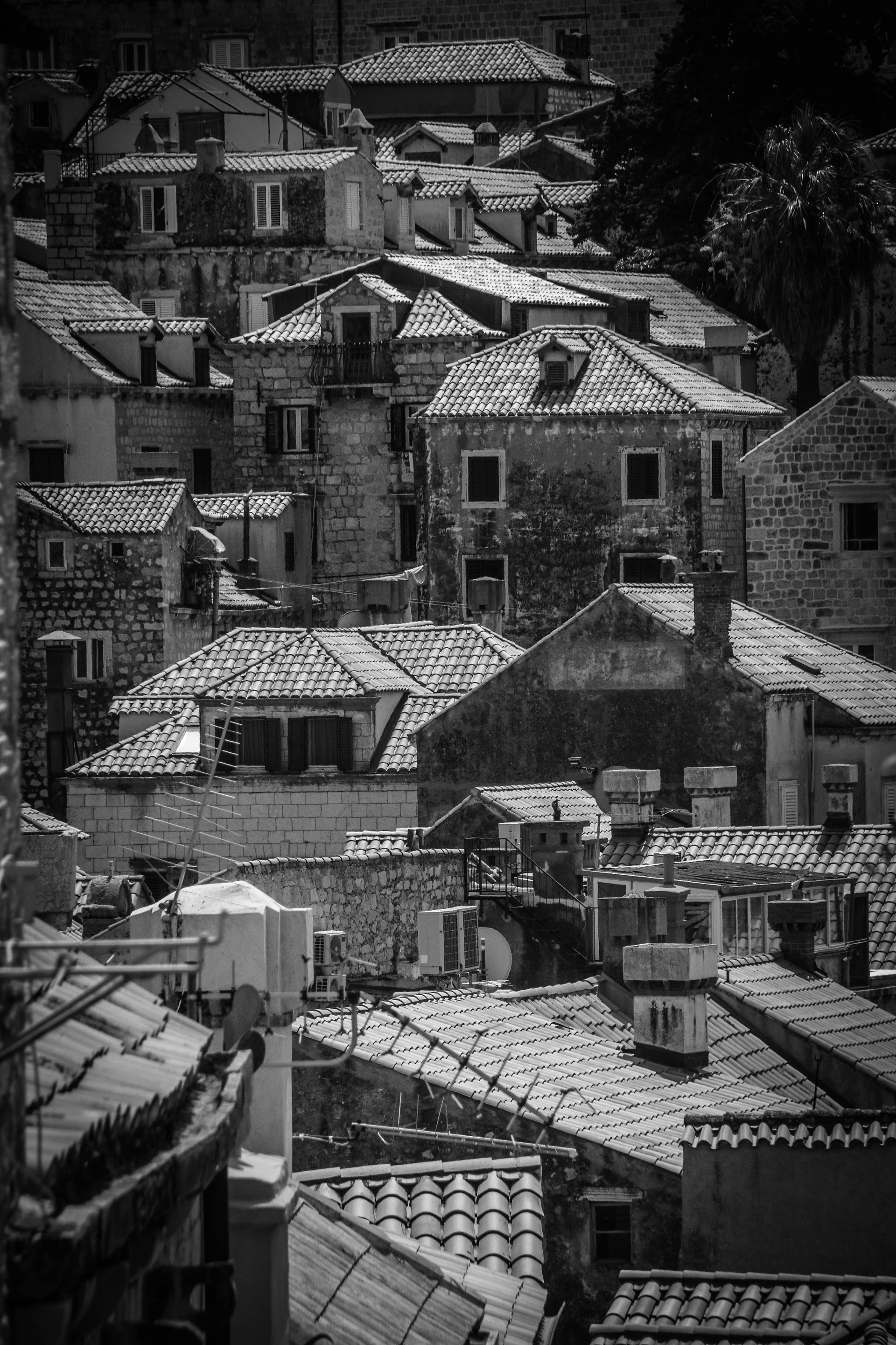 IMG_4666