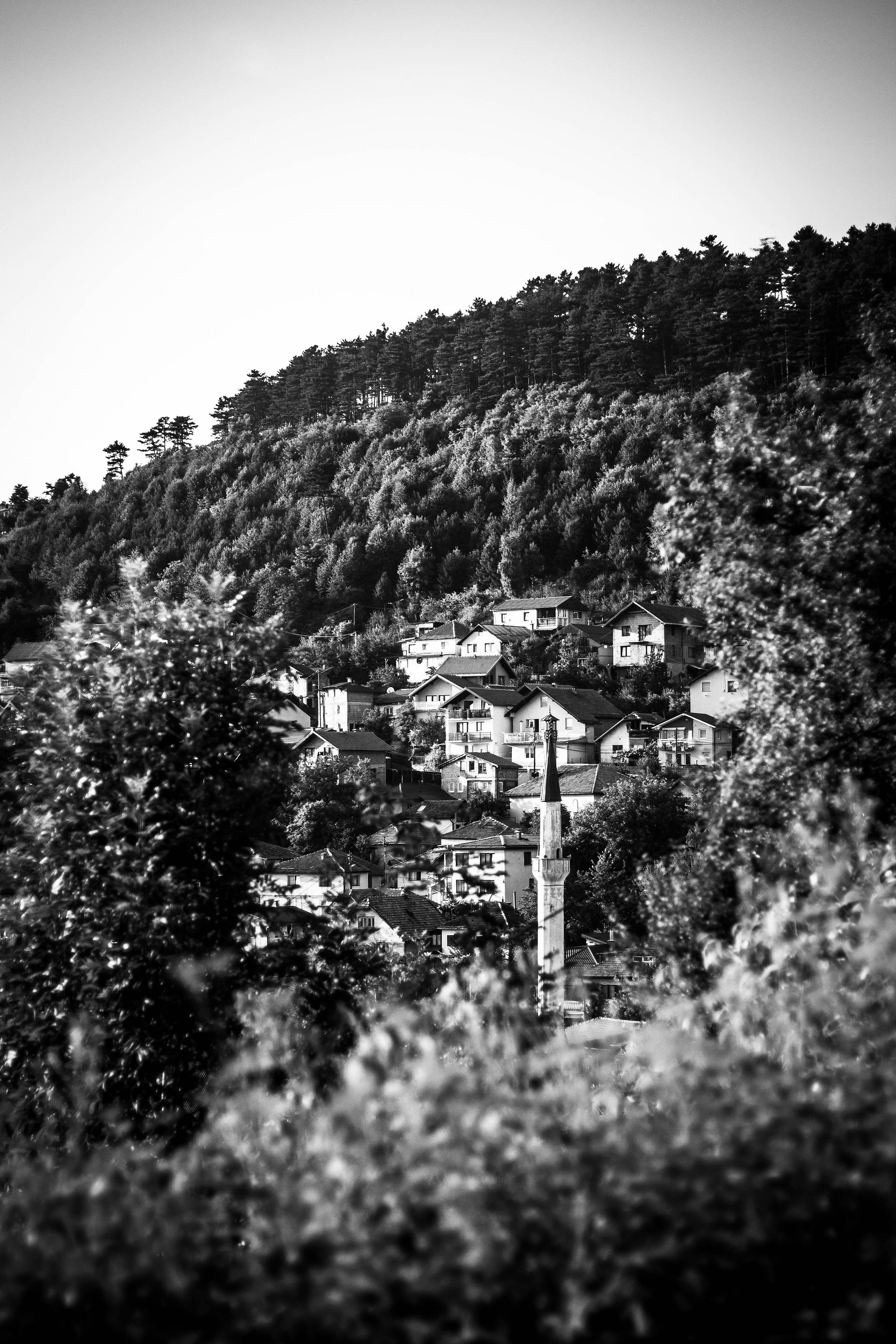IMG_3970