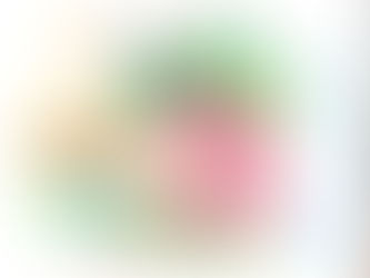 Shaping 2026: New Goals, Fresh Faces, and Lasting Connections