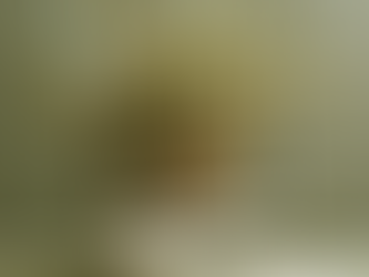 Comment écrire des publicités et des pages de vente gagnantes