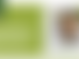 Franziska Weidner lächelt, neben ihr ein Zitat über die Wichtigkeit von Planung für Foodtrucks. Grüner Hintergrund, Logo und Text sichtbar.