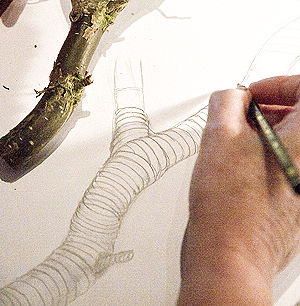 Private Art Lessons with Zangmo Alexander