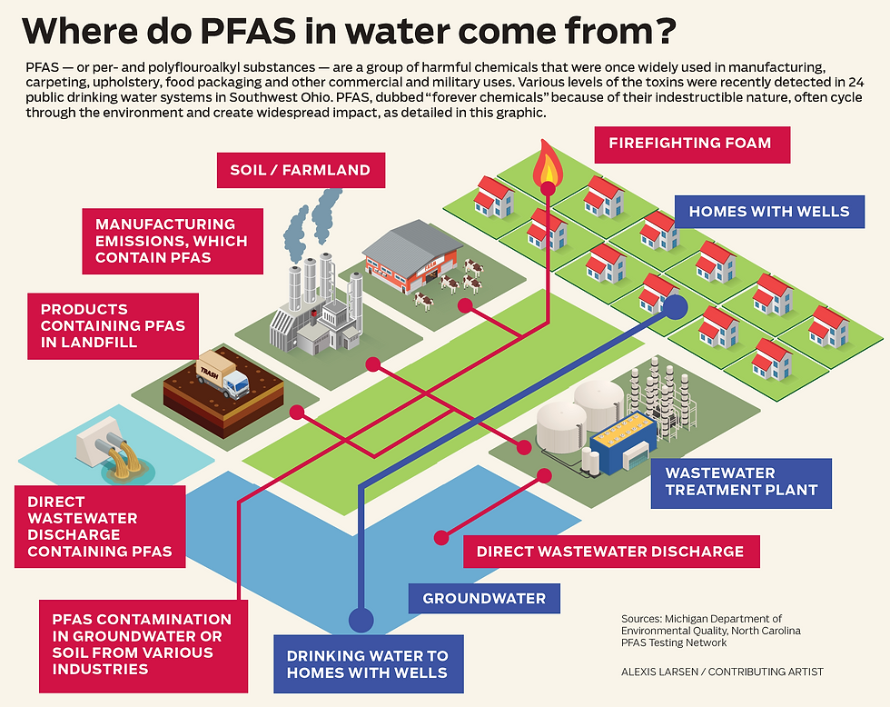 Infographic & Data Visualization