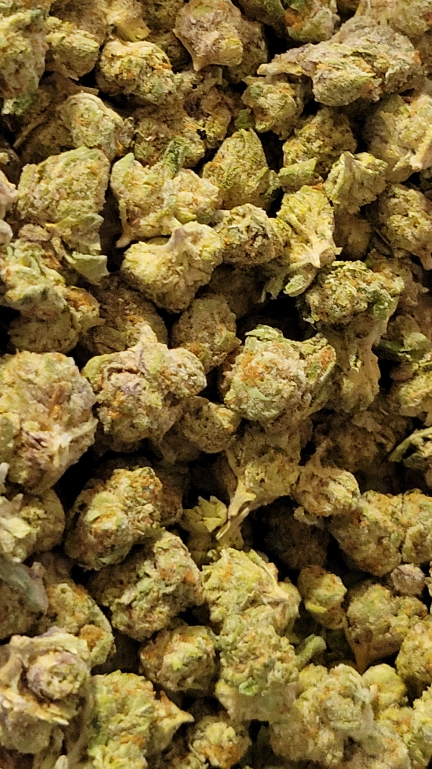 Gorilla Glue🌿 37% TAC | 35% THCa | 2% CBD 🔥