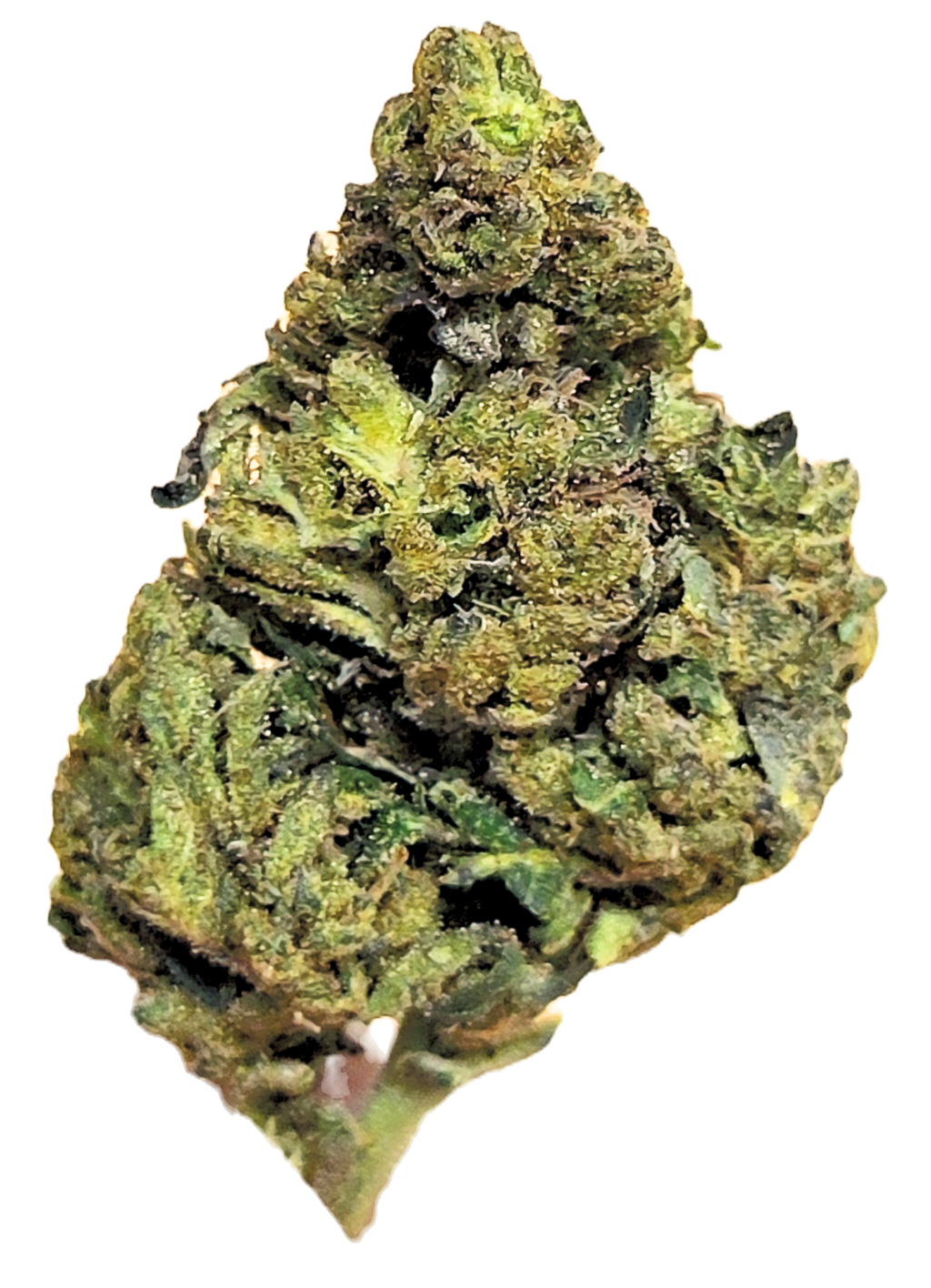 🍇 Jelly Roll 🌿 | 31% TAC / 26.46% THCa / 8% CBD 🔥