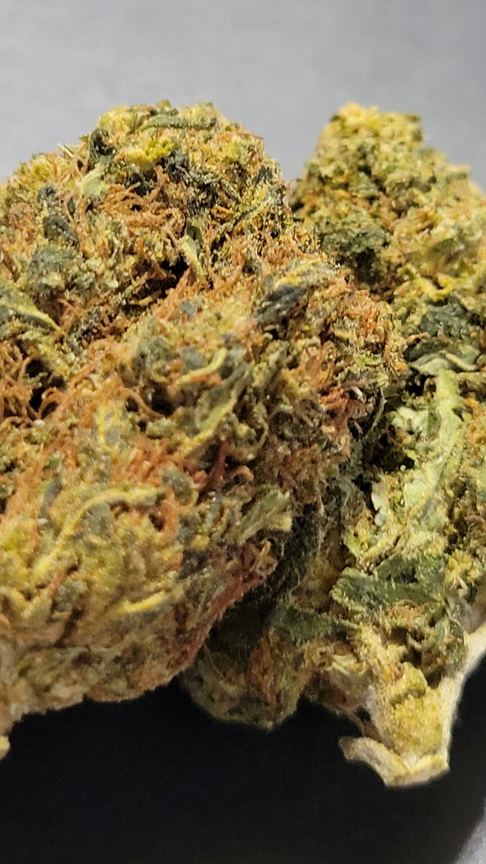 Thumbnail: Lemon Drop THCa Hemp Flower 36.5% Sativa Powerhouse