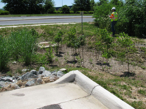 Culvert Drainage