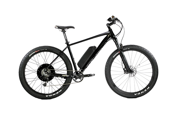 Electric Bike