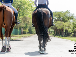 March 2026 Stockist Newsletter