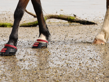 Stockist News November 2022