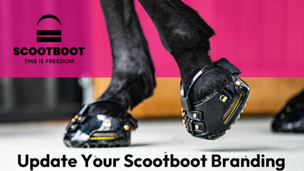 Last Chance for Early Bird Store Credit 