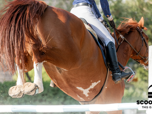 February 2026 Stockist Newsletter