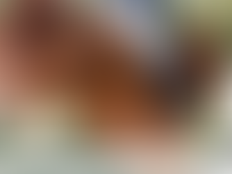 February 2026 Stockist Newsletter