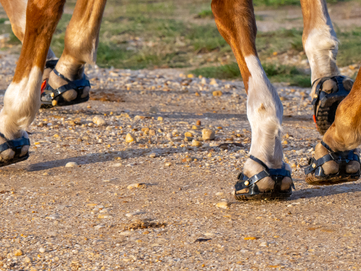 Stockist News October 2022