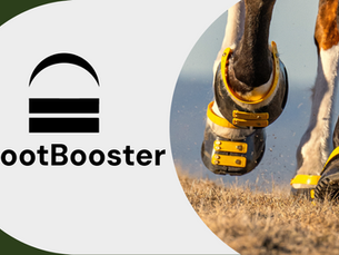ScootBooster is here