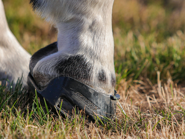 Stockist News June 2022