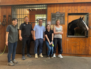 August 2025 Stockist Newsletter