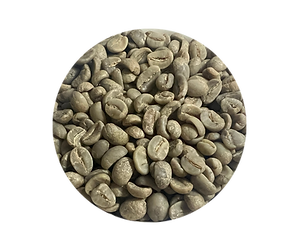 Nicaragua SHG EP Jinotega Finca Las Camelias