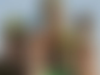 Женевский Международный Салон книги и прессы - программа.