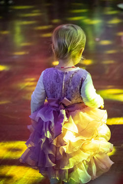 Елка Синей птицы_66