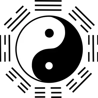 yin-and-yang-147655_1280 (1).webp