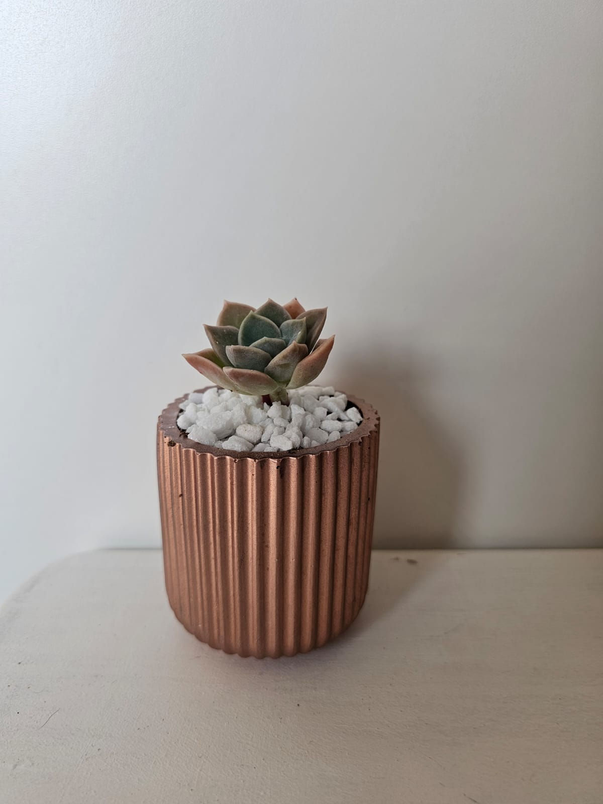 Rose gold concrete pot.