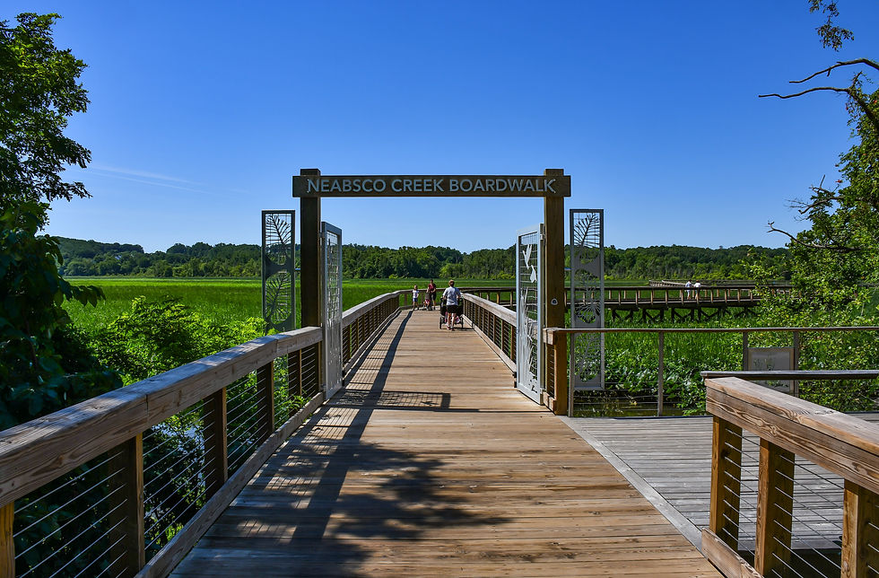 Neabsco Creek Boardwalk