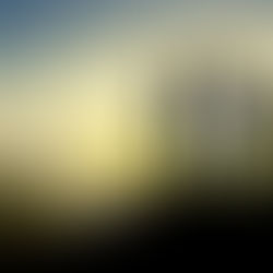 5 Conditions That Create High Performing Teams