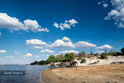 Chobe_Botswana_Elephants_Jamie_Thom_H.jpg