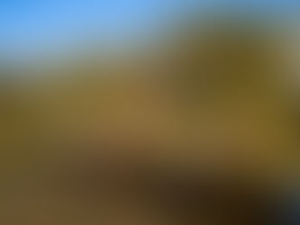 Okavango Delta Set for Exceptional Safari Season in May 2026