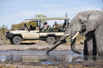 16hyena_pan_-_activities_-_game_drive__ellies.jpg