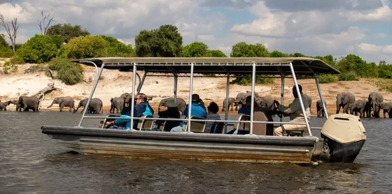 Chobe-houseboat - water safari 1.webp