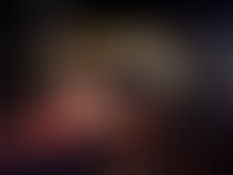 Our safari was one of the highlights of our lives.