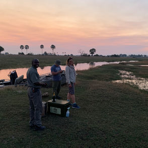 What a great place for wildlife - Botswana Safari