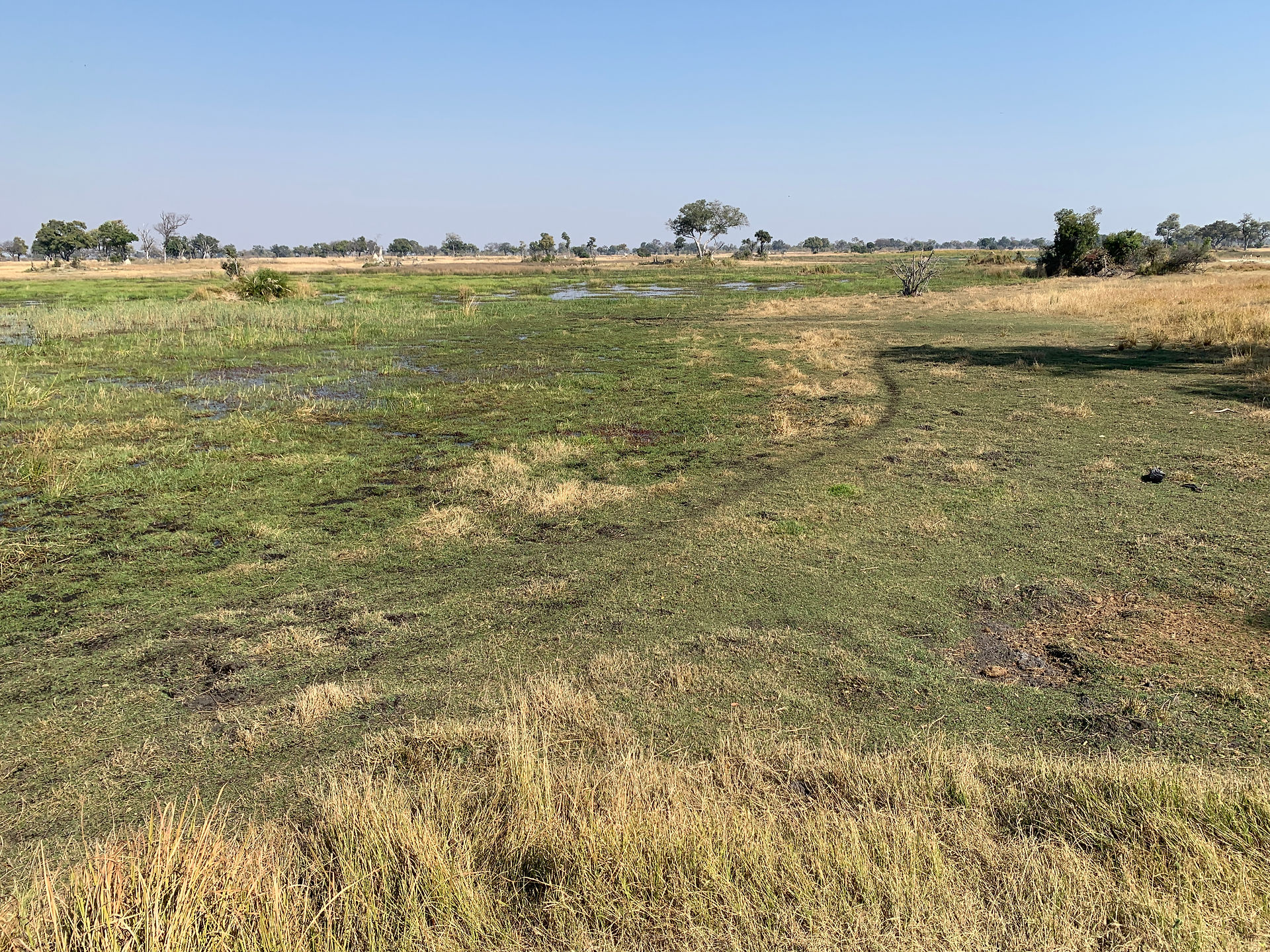 Okavango Delta safari lands