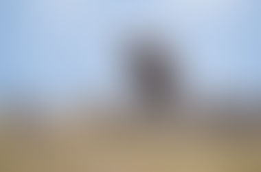 First safari in Kenya