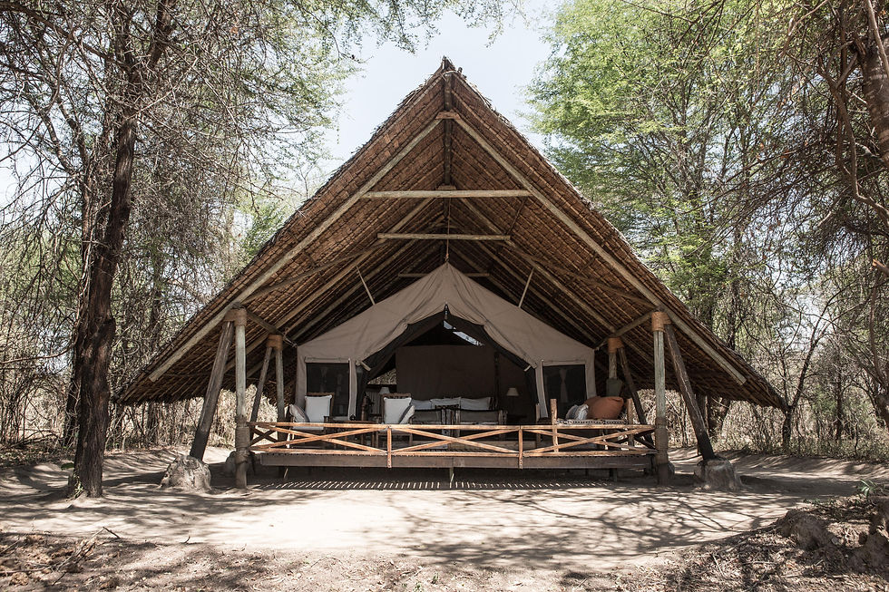 Thumbnail: SOUTHERN TANZANIA EXPLORER - 7 nts