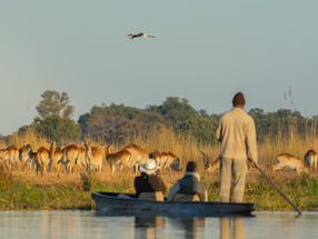 We did a trip to Zimbabwe, Zambia and Botswana for our honeymoon