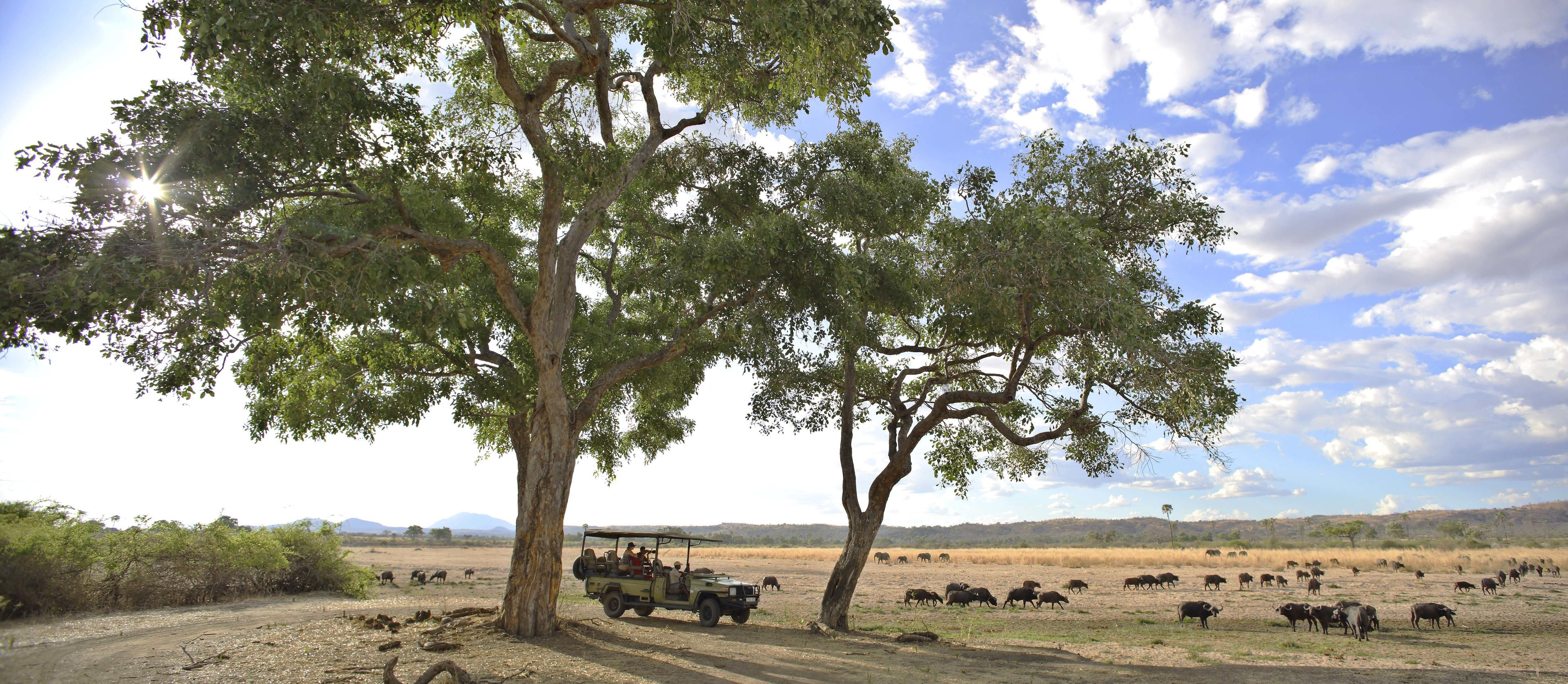 TANZANIA'S WILDER SOUTH - 7 nts