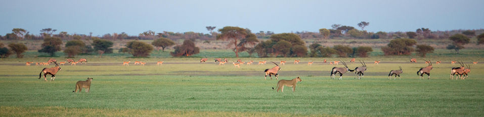 Kwando Tau Pan Camp_11.jpg