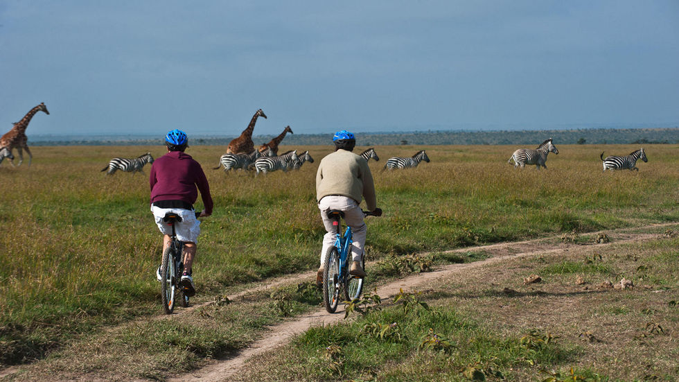 Get active at Ol Pejeta on a bike