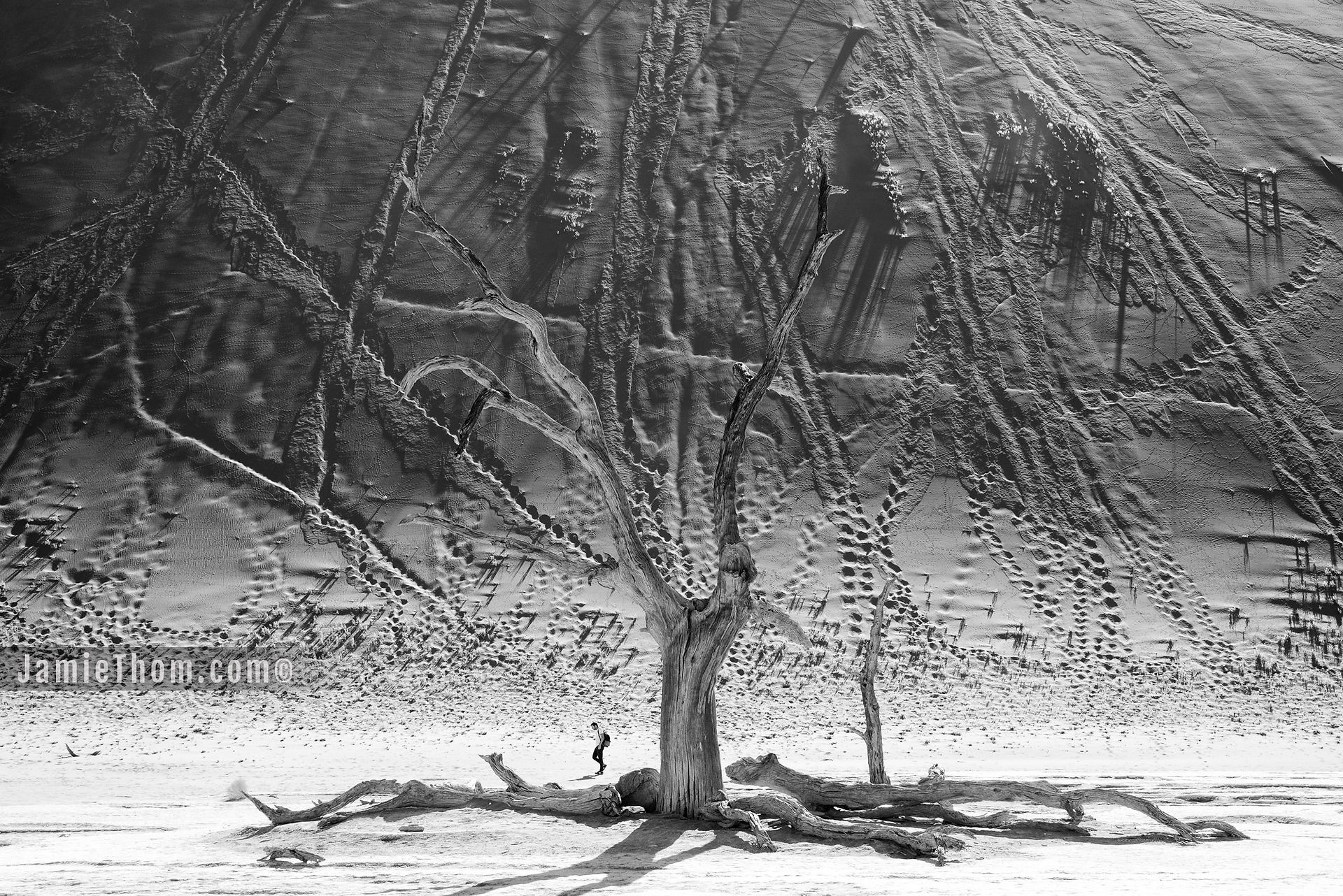 Sossusvlei__JTP2384 Silver